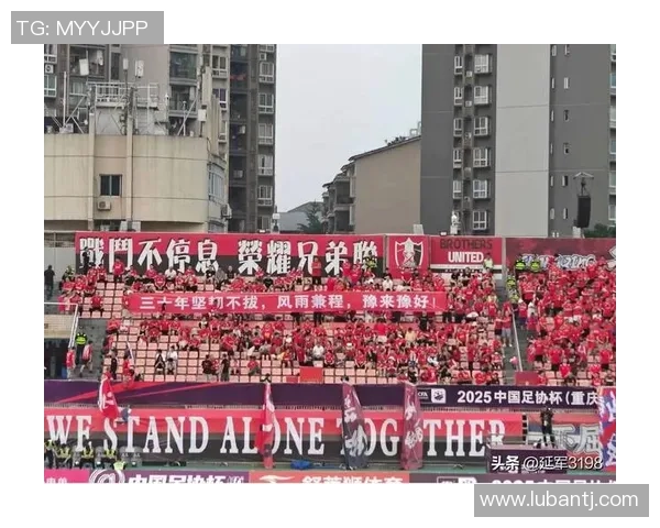 重庆乒乓球队逆袭之旅揭秘洲际杯背后的奋斗与荣耀 重庆乒乓球队逆袭之旅揭秘洲际杯背后的奋斗与荣耀