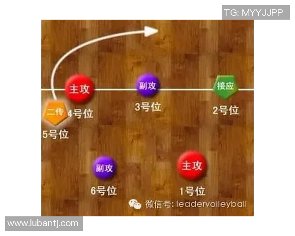 专业解读：北京排球队的进攻打法